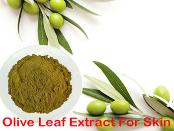 Can You Put Olive Leaf Extract On Skin?